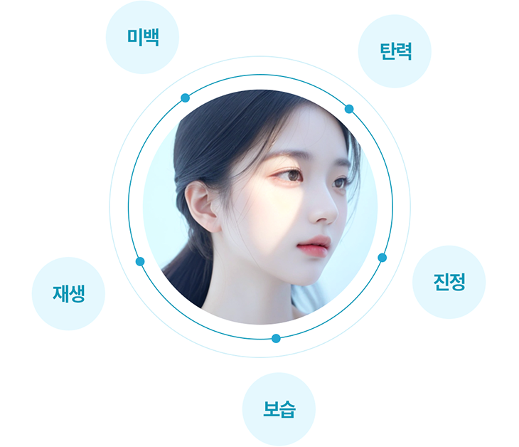 미백, 탄력, 재생, 진정, 보습